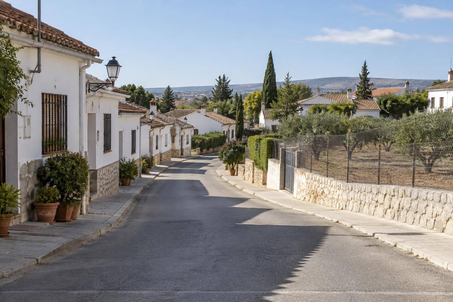 Imagen ilustrativa: Calle de un núcleo rural andaluz con casas bajas y parcelas junto a la zona residencial, sin personas reconocibles.