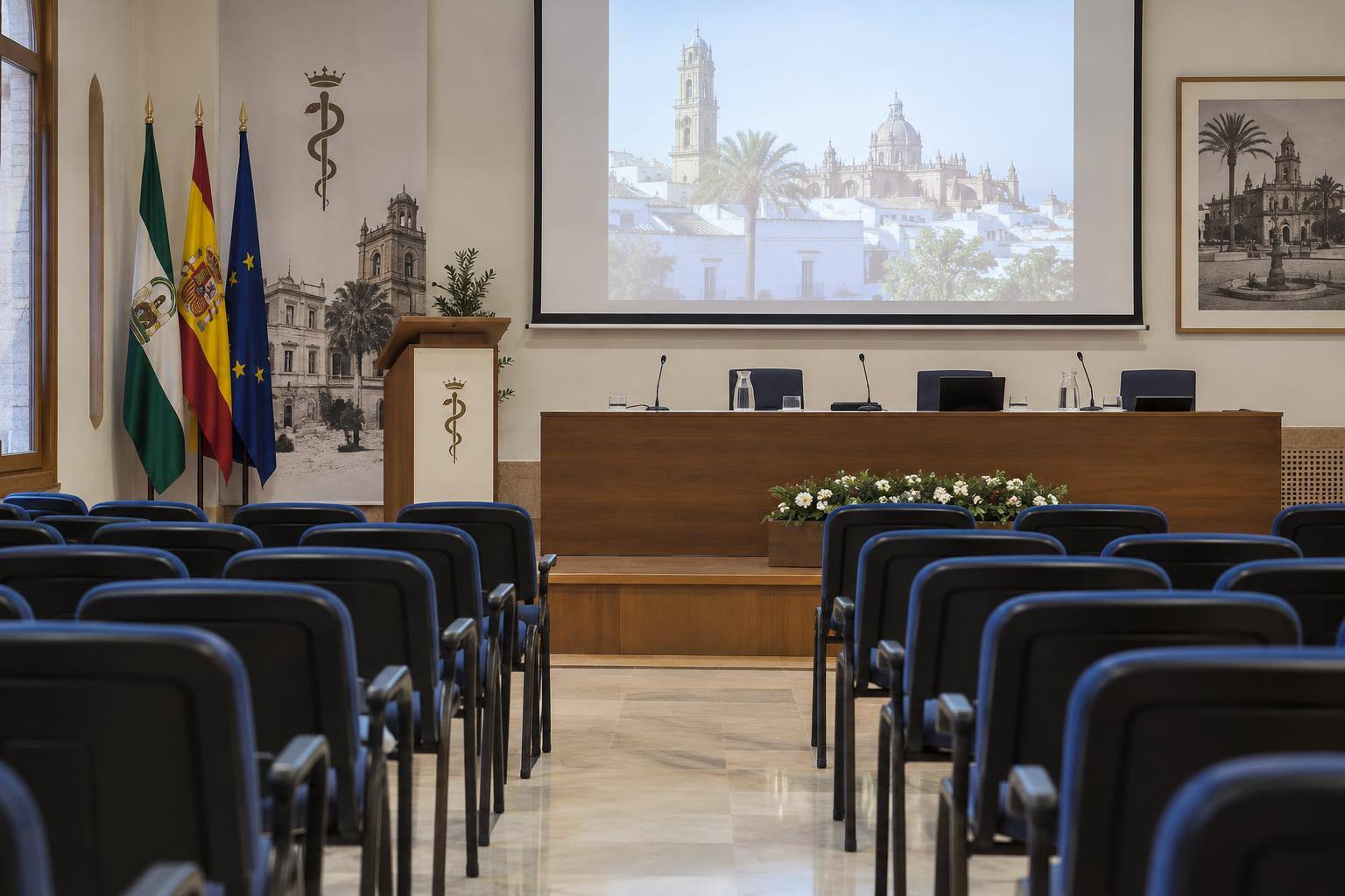 Imagen ilustrativa: Sala de conferencias de un colegio médico, con atril, pantalla de proyección y filas de asientos, sin personas reconocibles.